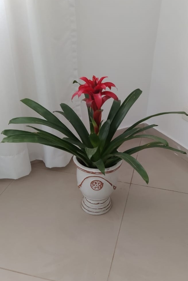 Decoração interna ideal para casas pequenas e apartamentos